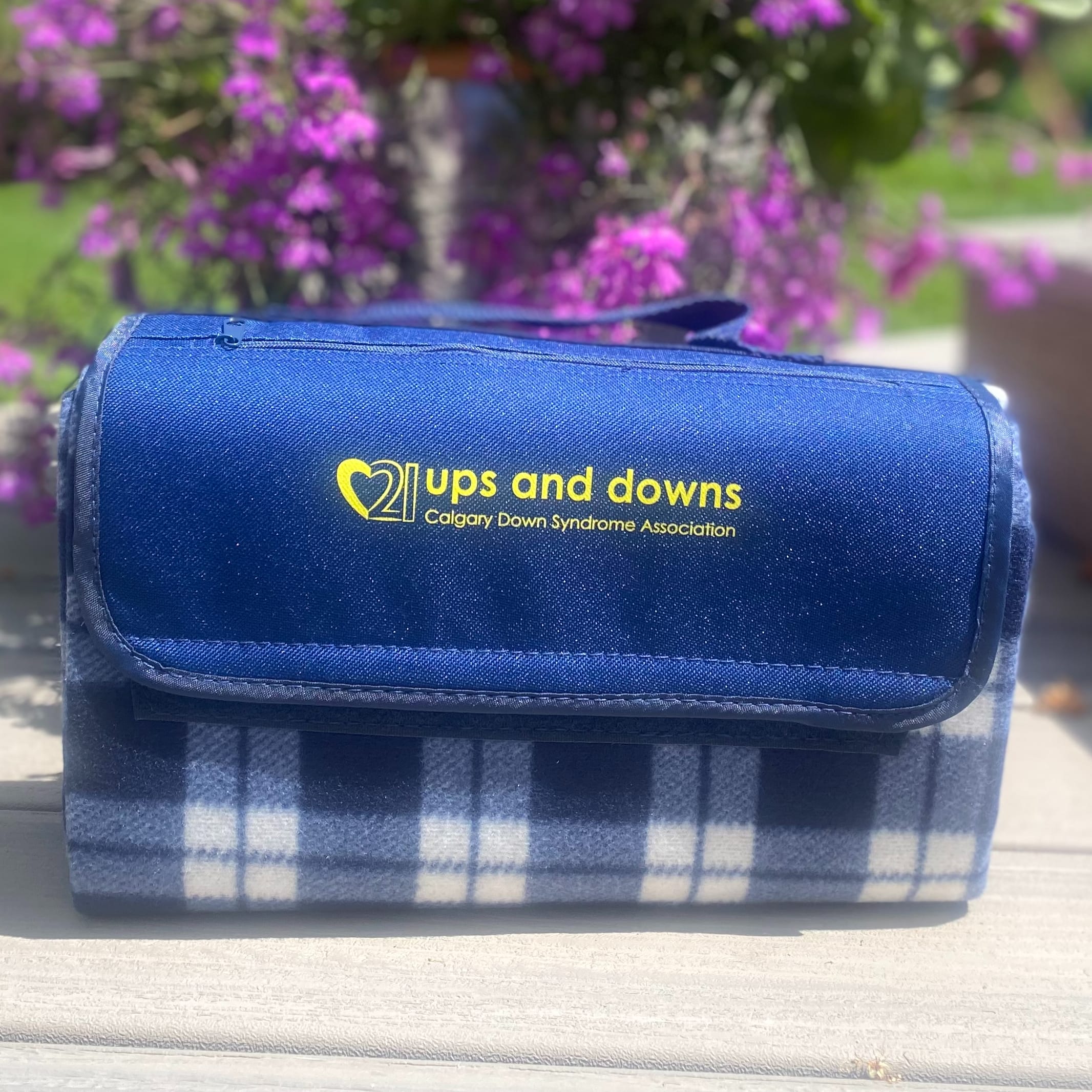 Ups and Downs Picnic Blanket